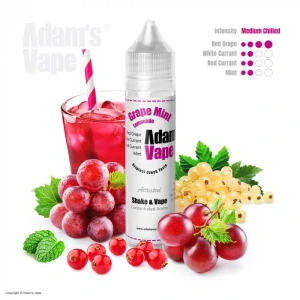 Adams vape S & V Grape Mint Lemonade 10 ml