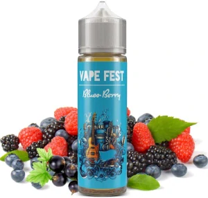 Vape Fest S&V 10ml Blues Berry